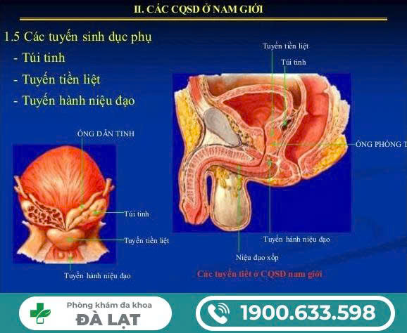 Hình ảnh minh họa